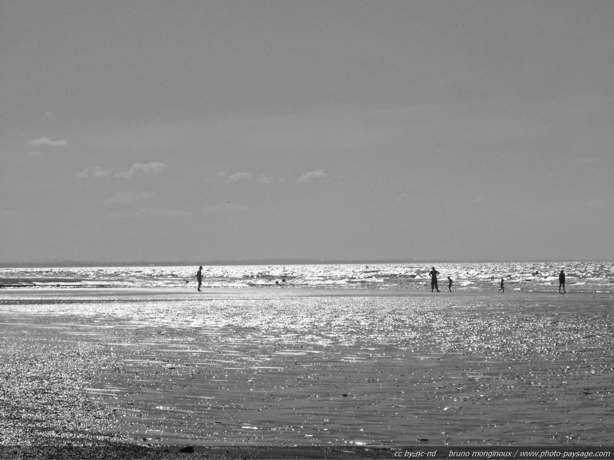 Cabourg - Hyper Centre, Plage المظهر الخارجي الصورة